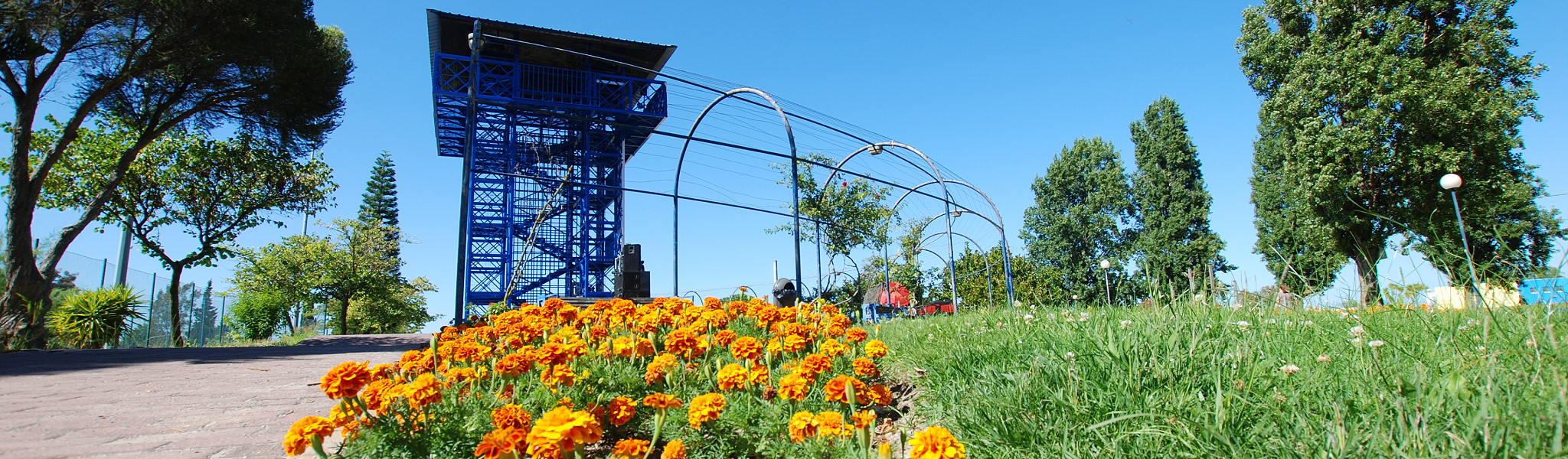Banner_Homepage_03